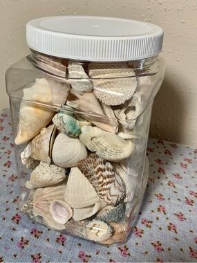 Jar of Assorted Natural Seashells - Cream & Tan Accents